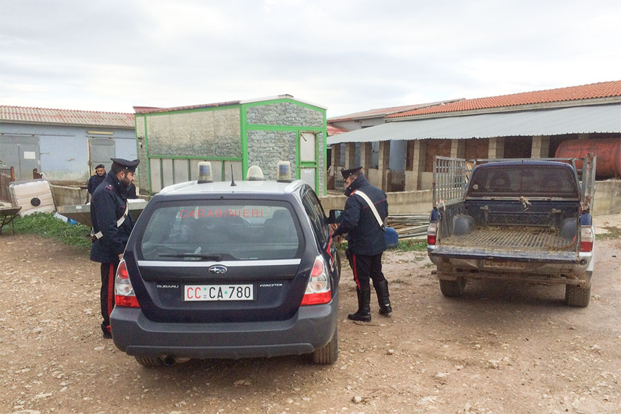 Casalinga 54enne aggredì i Carabinieri: arrestata, dovrà scontare due anni di reclusione