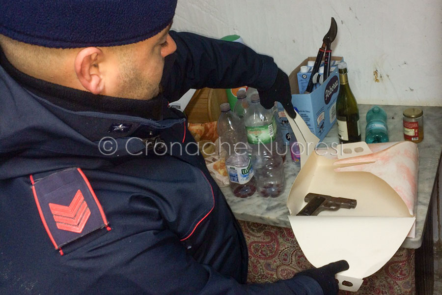 Nascondeva una pistola carica in una confezione per torte: denunciato allevatore