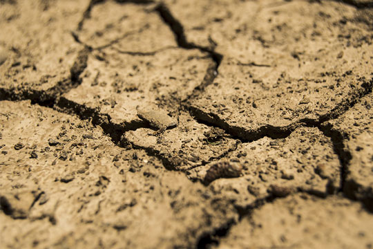 Allarme siccità: non piove da oltre un mese così almeno fino a Natale