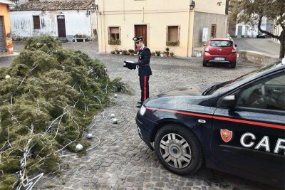 Lula: l'albero di Natale della Pro Loco distrutto dai vandali