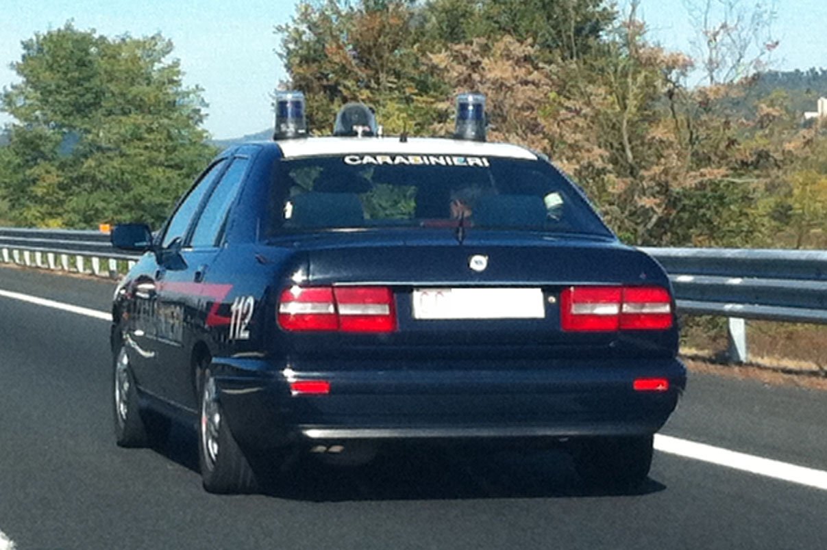 Petardo al collo del gabbiano, scatta la denuncia per i pescatori