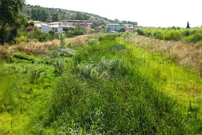 Orosei, uno dei canali del Cedrino