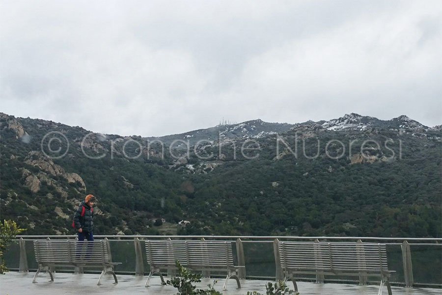 “Con l’articolo 40 il Consiglio regionale ha sancito la morte dell’Atene Sarda”