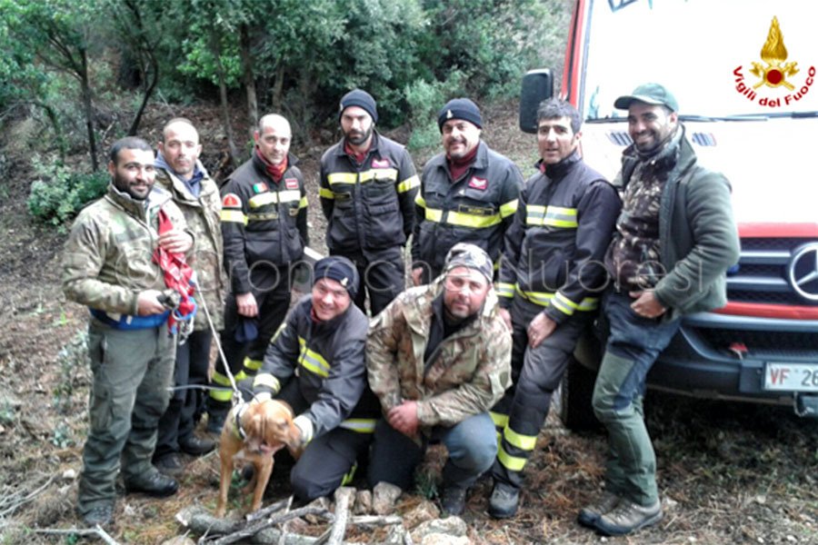 I Vigili del Fuoco salvano “Argo”  precipitato in un dirupo