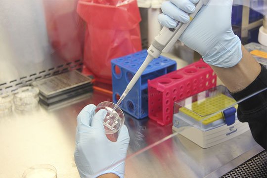 Il registro tumori di Nuoro nel nuovo registro regionale