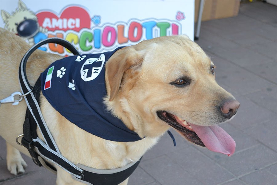 L’E.N.P.A risponde all’interrogazione sui procedimenti dei fondi alla Onlus presentata dal consigliere Siotto