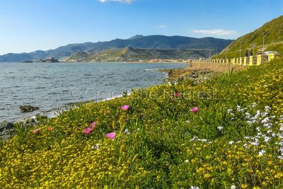 Bosa, Uno scorcio di Turas dal Trenino verde (foto S.Novellu)