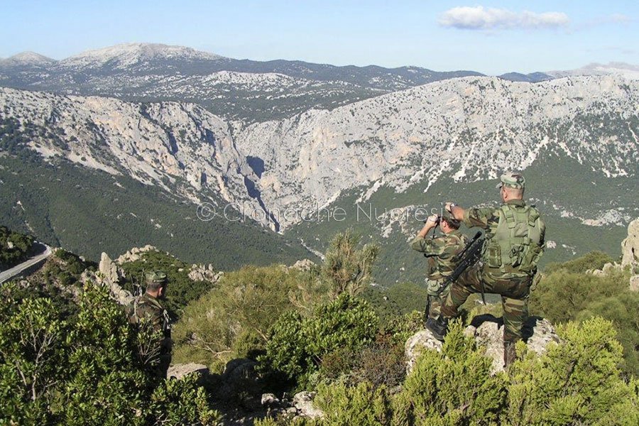 Munizioni e passamontagna nascosti nella fitta vegetazione scoperti dai Carabinieri