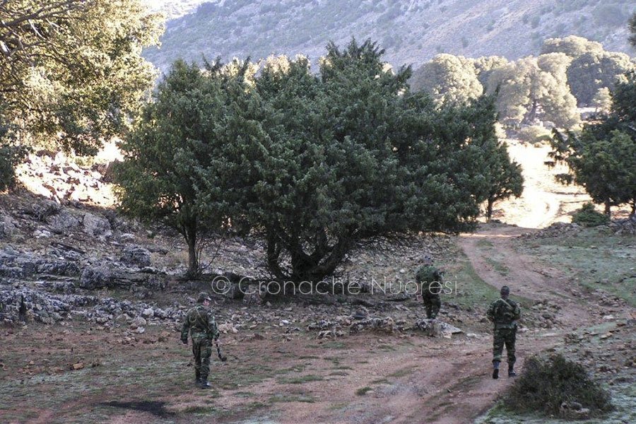 Droga, armi e munizioni nell’ovile: in manette un allevatore di Thiesi