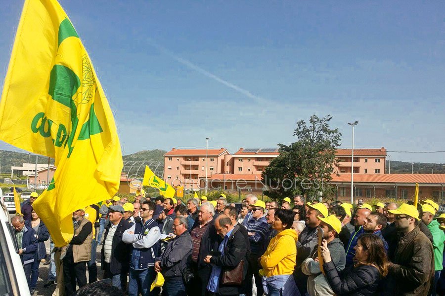 Nuoro: la protesta degli allevatori di Coldiretti a Pratosardo e sulla 131 contro prezzo del latte e premi Ue