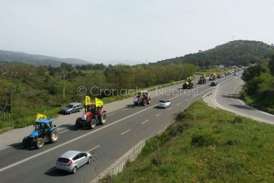 La manifestazione degli allevatori di Coldiretti sulla 131 (foto Cronache Nuoresi)