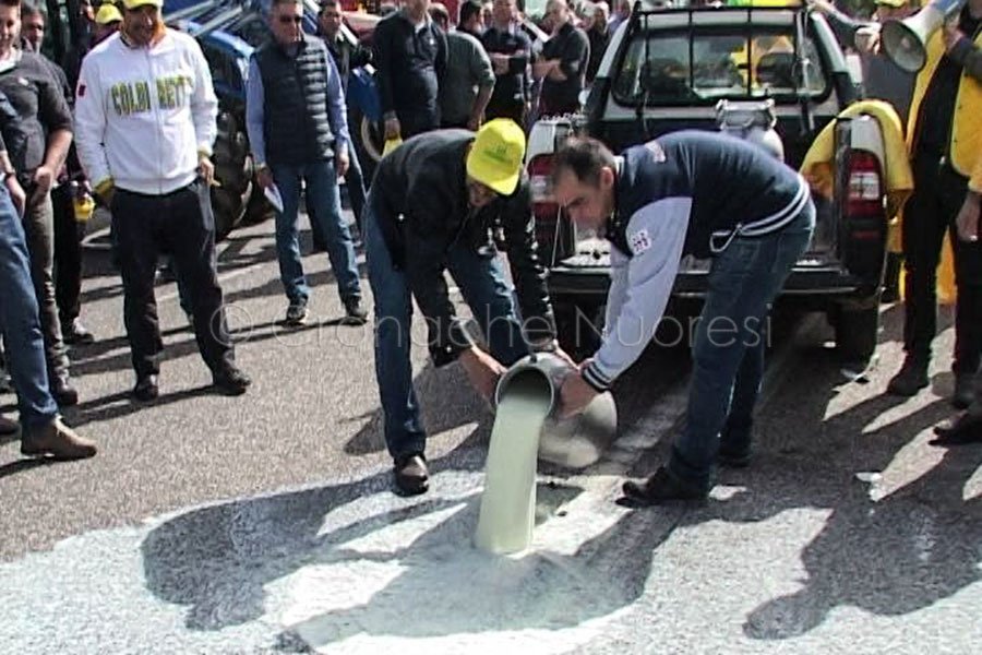 Pittalis sul latte:«summit del Centrosinistra con il sapore della beffa per i pastori senza risorse»