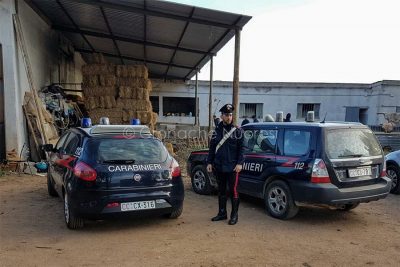 I Carabinieri nell'azienda agricola a Escalaplano