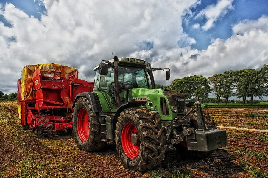 Consulta: sì all’esenzione transitoria per l’IMU agricola nei terreni montani