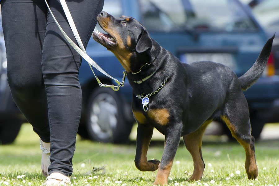 Uta: tenta di consegnare la droga al fratello in carcere, arrestato