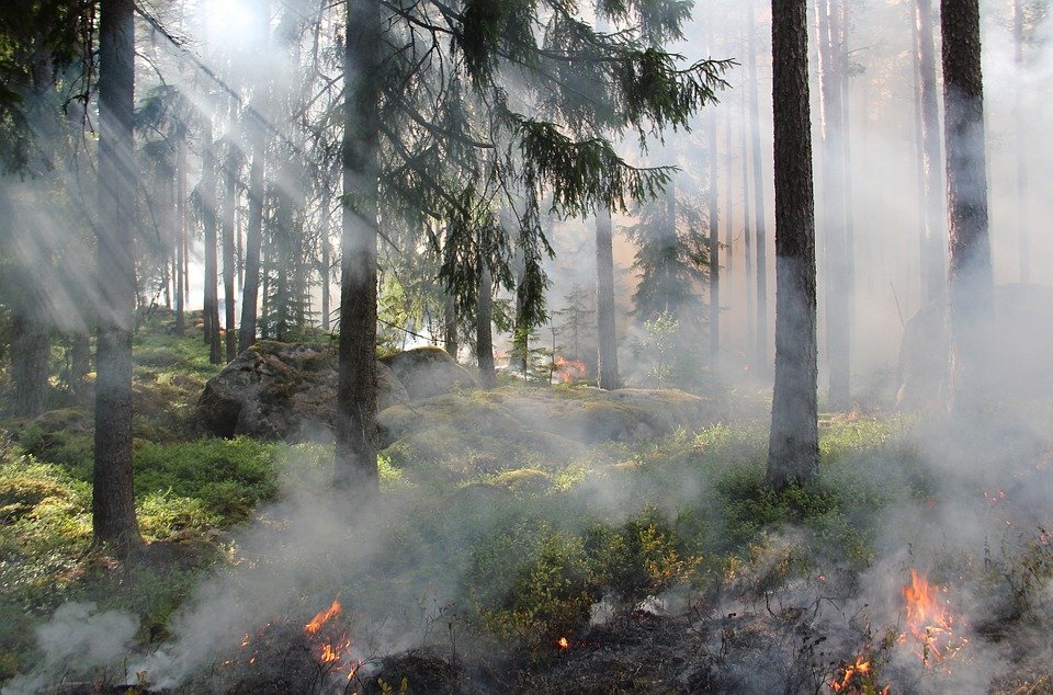 Bruciano sterpaglie provenienti da aree verdi ma perdono il controllo delle fiamme: denunciati