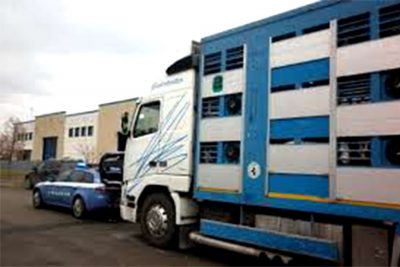 L'autocarro fermato dalla Polizia
