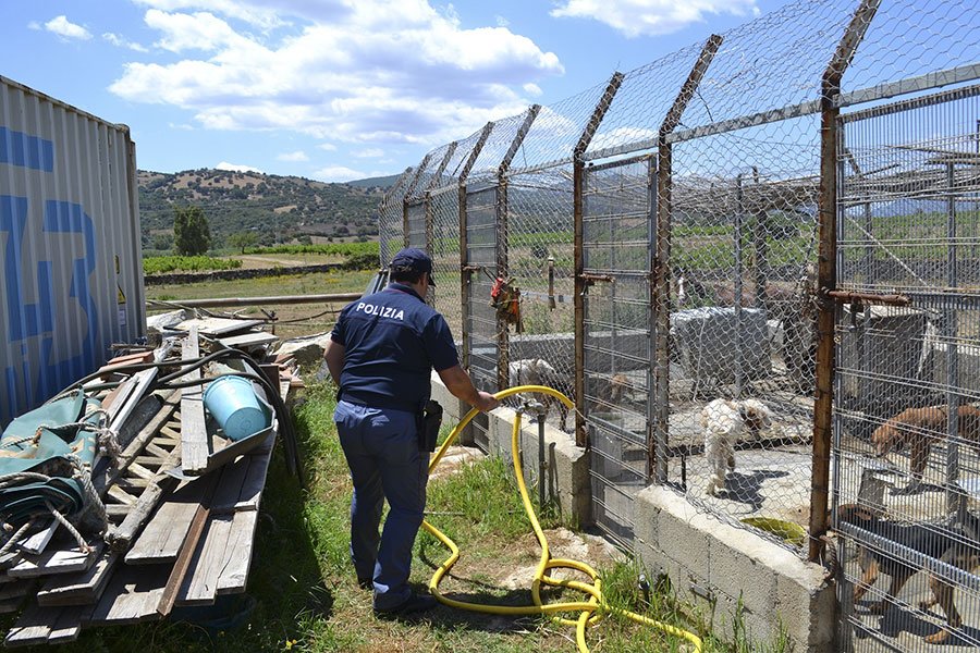 Scoperto un canile lager a Siniscola