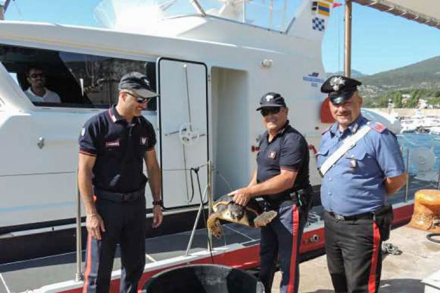 Una Caretta caretta ferita da un motoscafo recuperata dai Carabinieri nelle acque tra Cala Gonone e Baunei