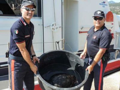 I Carabinieri durante il recupero della tartaruga