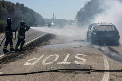 I Vigili del fuoco impegnati nel domare l'incendio (foto VdF)