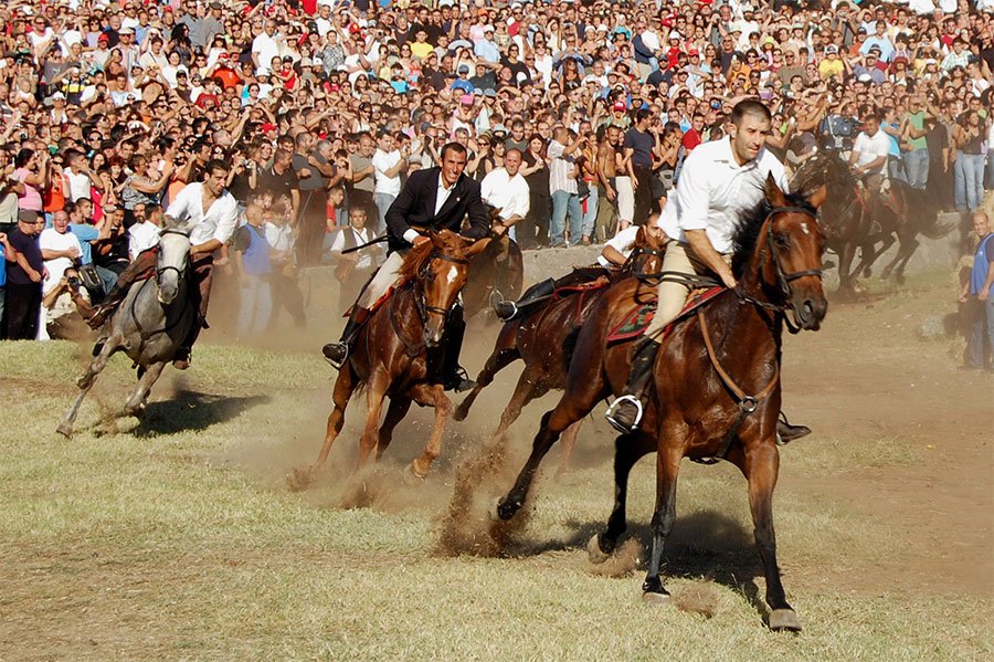 Paura all’Ardia di San Costantino: cavaliere cade e batte violentemente la testa