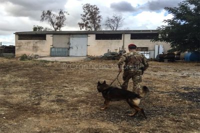 Borore, l'ovile dove è stBorore, l'ovile dove è stata compiuta l'operazione antidrogaata compiuta l'operazine