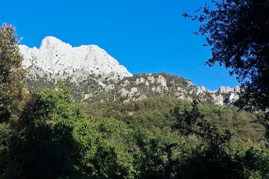 Anziano scomparso e ritrovato in stato confusionale nel Corrasi