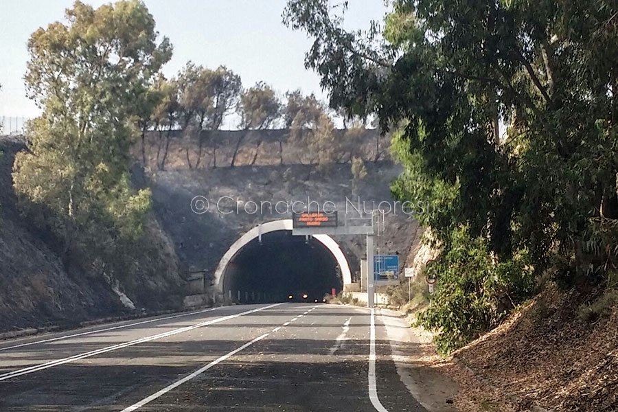 Da domani chiuse per lavori di messa a norma le gallerie di Mughina e Prato Sardo