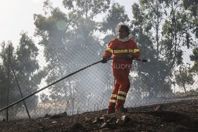 Personale dell'Ente Foreste alle prese con l'incendio (foto S.Novellu)