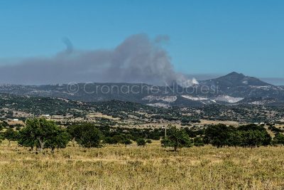 L'incendio nella campagne dei Orani (foto S.Novellu)