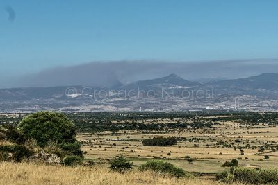 L'incendio nella campagne dei Orani (foto S.Novellu)