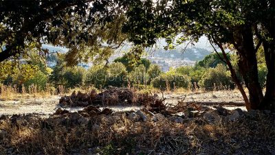 Uno scorcio di Oliena dal Monte Maccione (foto S.Novellu)