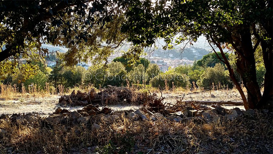 Oliena: al via i rifornimenti idrici delle campagne colpite dalla siccità