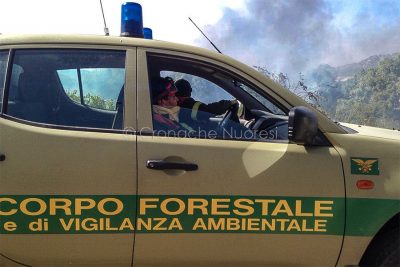 Sarule, il fuoco minaccia le Case (foto Angius)