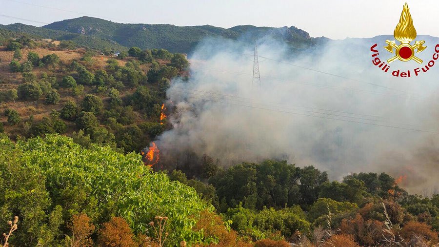 Ancora fuoco nel Nuorese: in fiamme per tutto il pomeriggio di ieri le campagne tra Teti e Olzai