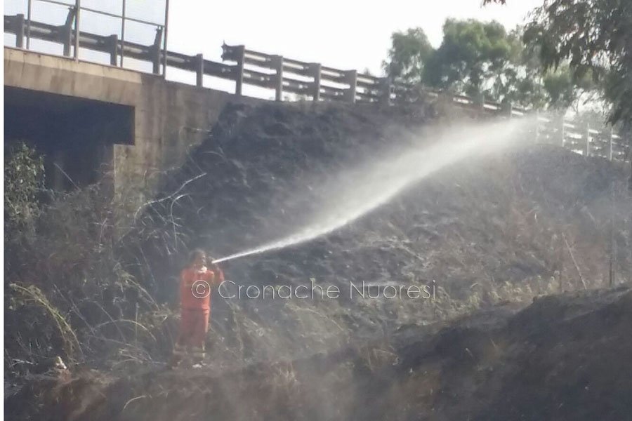 Fuoco alle porte di Nuoro: le fiamme hanno lambito le case e la galleria di Prato Sardo