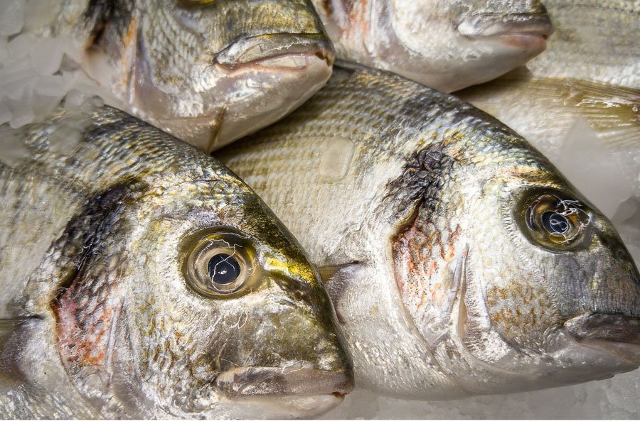 Rubano pesce dallo stagno: denunciati padre e figlio