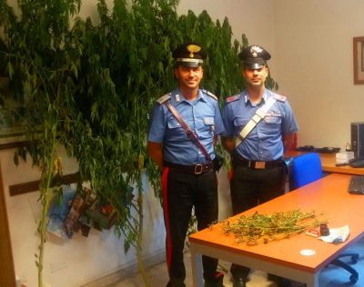 La marijuana sequestrata dai Carabinieri