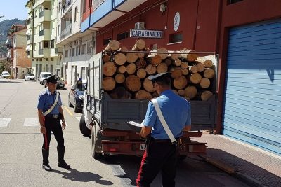 I Carabinieri col carico di legna sequestrato