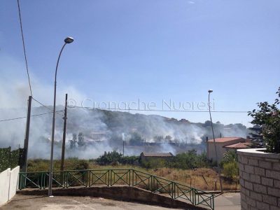 L'incendio a Sarule (foto Cinzia Angius)