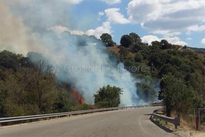 L'incendio alle porte di Sarule (foto Angius)