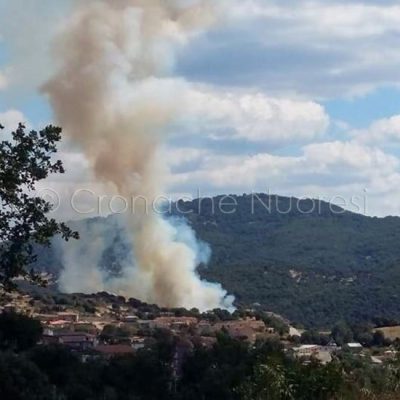 L'incendio alle porte di Sarule (foto Angius)