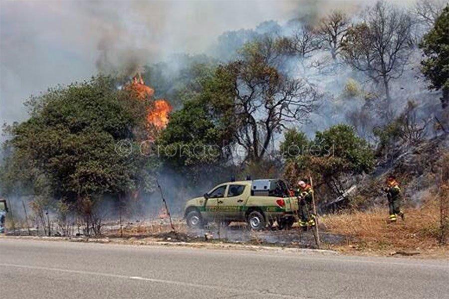 Incendi. Sarule ancora una volta assediata dalle fiamme