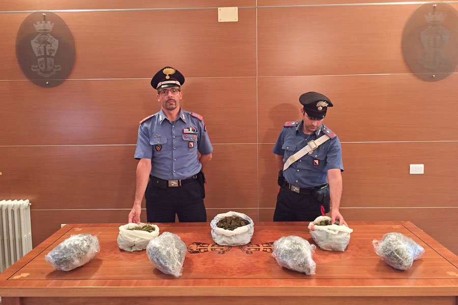 Oliena. Meccanico incensurato nei guai per 3,5 kg di marijuana