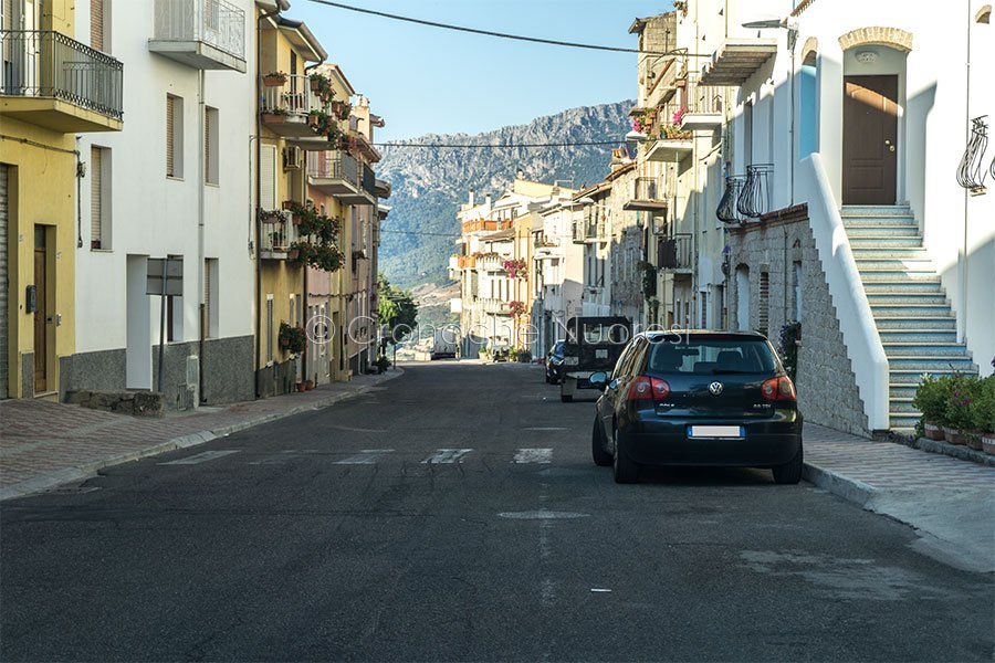 Allarme trichinella: trovata a Orgosolo una volpe infetta