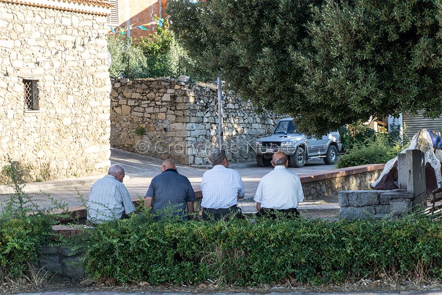 Corsi fantasma a Orgosolo. La difesa: “gli imputati vanno assolti”