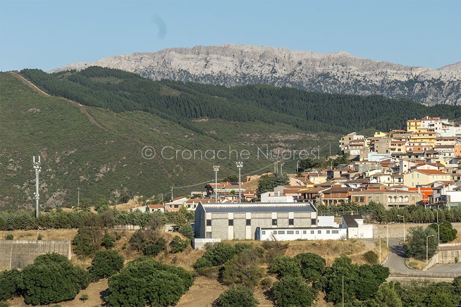 Turbativa d’asta: a processo il sindaco di Orgosolo