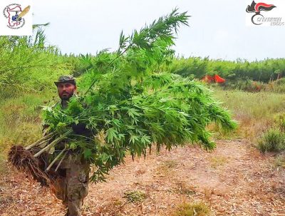 Tortolì, i Carabinieri con la marijuana sequestrata