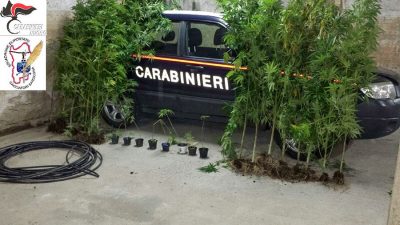 Tortolì, i Carabinieri con la marijuana sequestrata